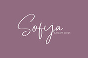 Sofija Elegant Script Font, a Script Font by NTC Graphic (Thumbnail 1 of 9)