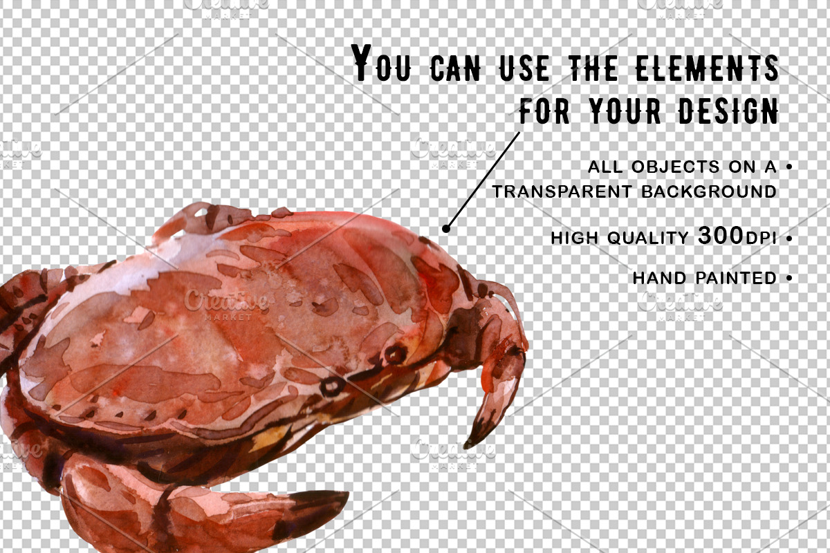 Sea Food Watercolor set, a Graphic by Tamaretto (Photo 2 of 3)