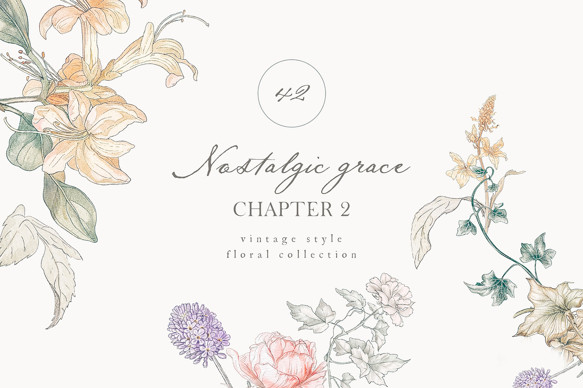 Vintage Floral Bundle, an Object Illustration by studioequinox (Photo 50 of 65)