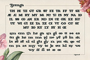 Bunga, a Serif Font by Burntilldead (Thumbnail 9 of 14)
