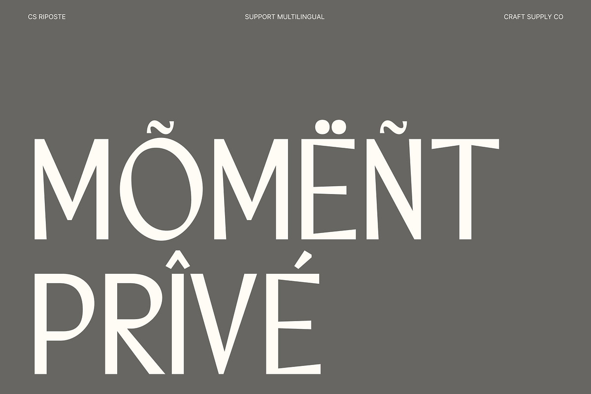 CS Riposte – Modern Sans Serif, a Sans Serif Font by Craft Supply Co. (Photo 6 of 8)