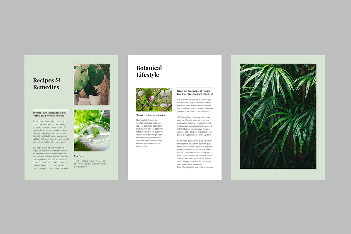 Botanical Guide to Natural Living preview 5