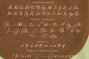 Scoottburg - Modern Calligraphy, a Script Font by Anxiety Studio (Thumbnail 16 of 17)