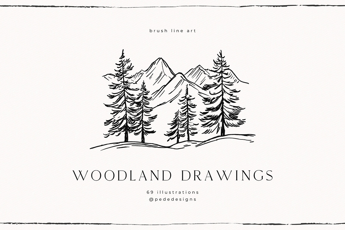 Woodland Drawings, an Animal Illustration by PeDe Designs (Photo 8 of 9)