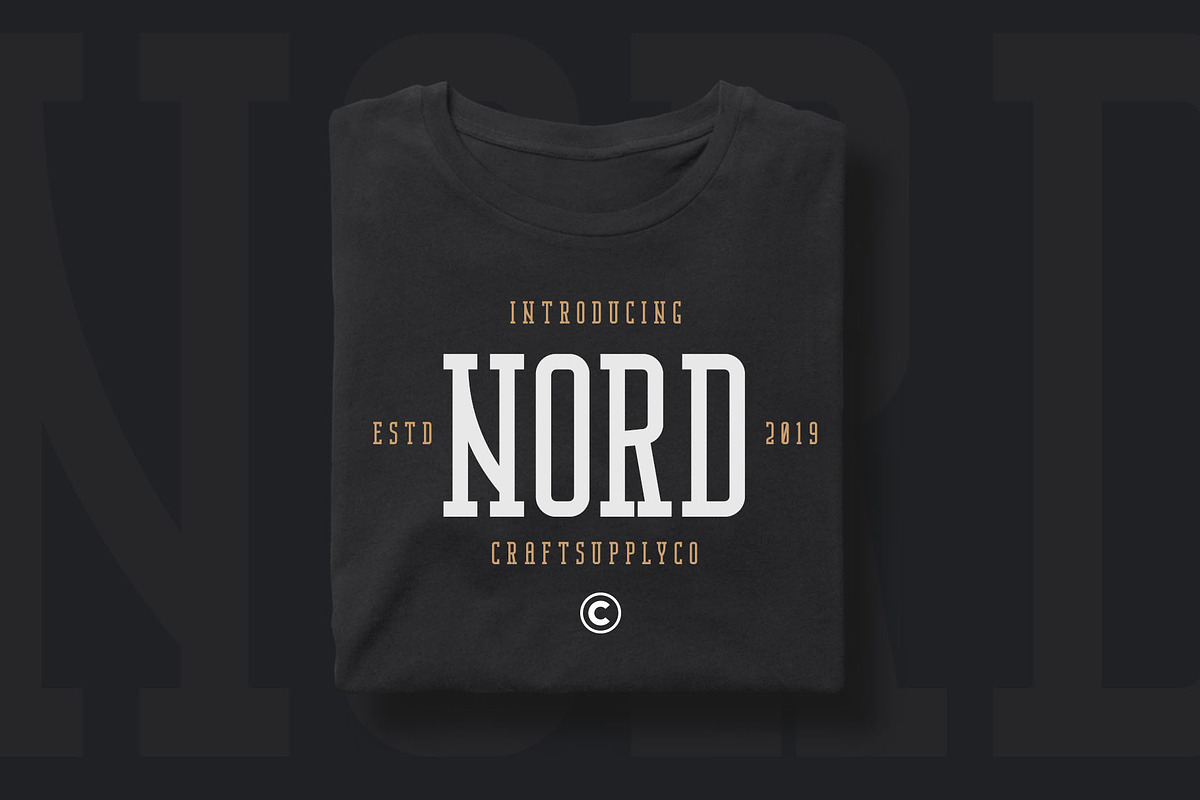 Nordin Slab - Condensed Slab Serif preview 8