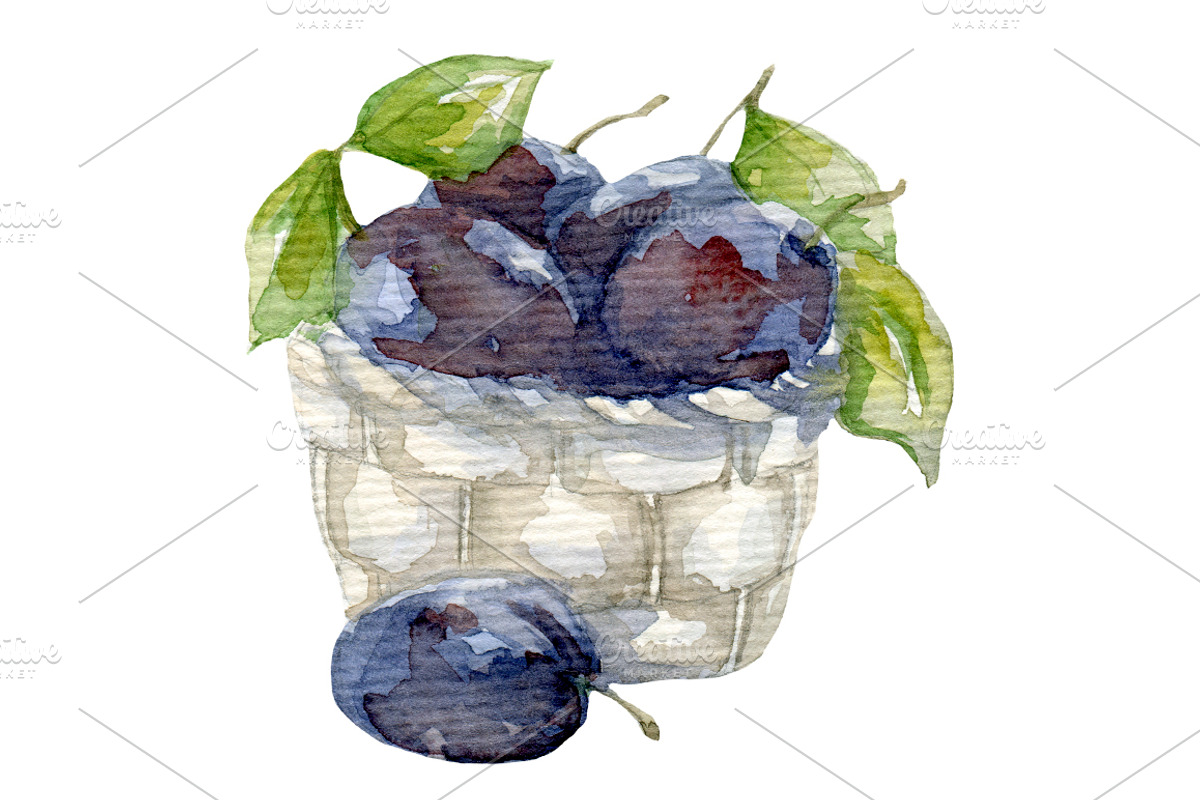 Watercolor 24 fruits set, a Food Illustration by My watercolor shop (Photo 2 of 16)