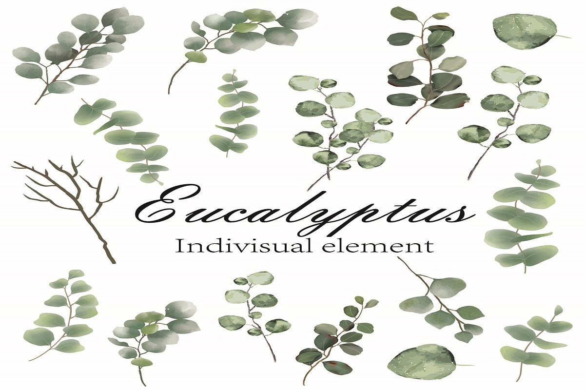Watercolor Eucalyptus PNG Bunlde, an Illustration by Digi_Design_World (Photo 2 of 4)