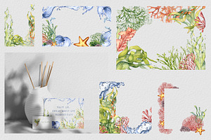 Sea Plants Watercolor Collection