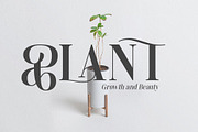 Mylierka - Serif Font (11 Fonts), a Serif Font by Maculinc Type (Thumbnail 9 of 15)