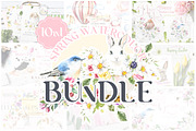 10in1 Spring Watercolor Bundle, an Animal Illustration by Catherine Wheel (Thumbnail 1 of 11)