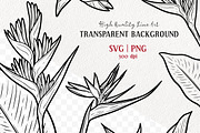 Heliconia Flower Vector Line Art, a Decorative Illustration by MadliArt (Thumbnail 2 of 4)