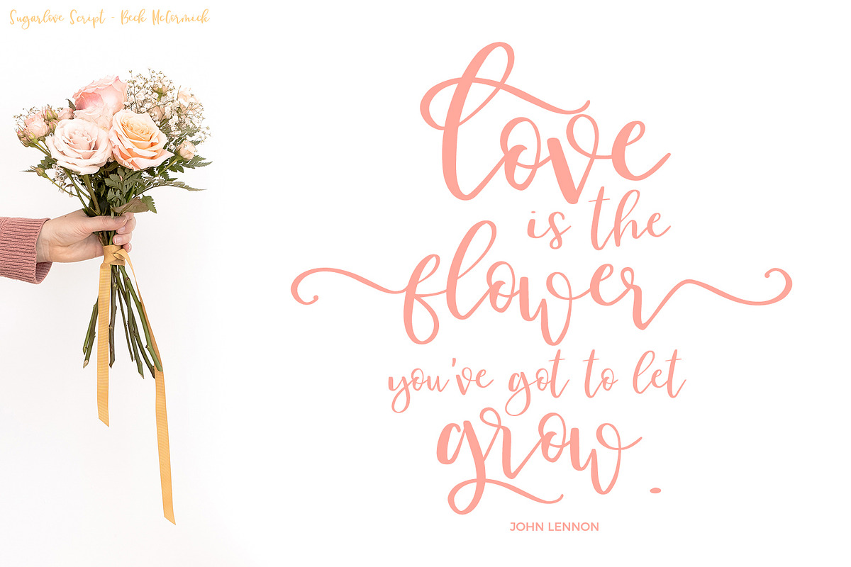 Sugarlove Script, a Script Font by Beck McCormick (Photo 2 of 9)