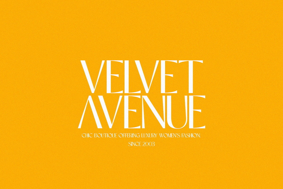 Anemone - Elegant & Modern Sans, a Sans Serif Font by Mikhail Kitsune (Photo 3 of 8)