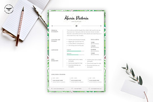 Blogger CV Template