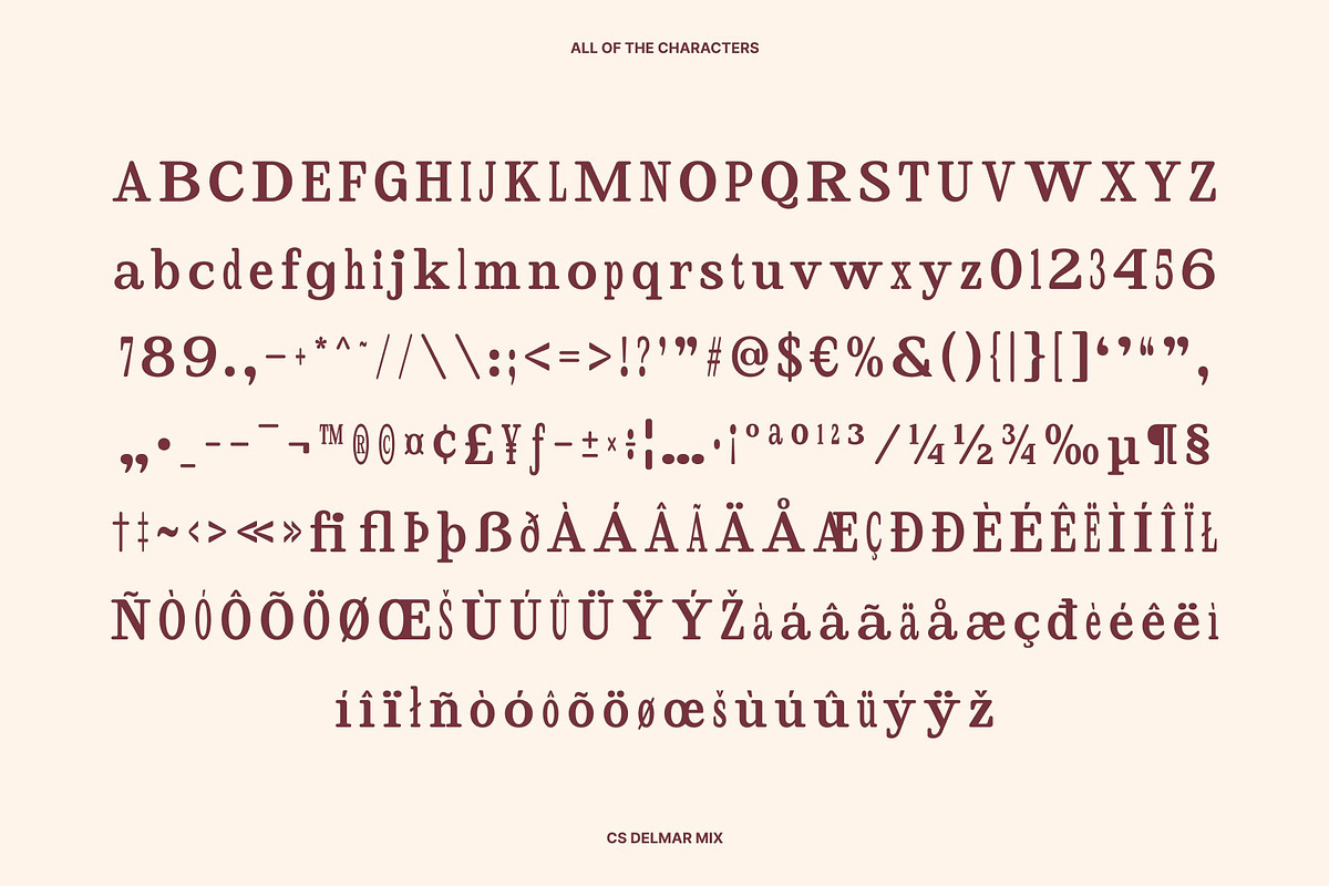 CS Delmar Mix, a Serif Font by Craft Supply Co. (Photo 8 of 8)