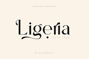 Stailen Modern Serif Font, a Serif Font by Idea Studio (Thumbnail 2 of 12)