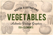 150 Vintage Vegetables (Vector), a Food Illustration by Brigantine Designs (Thumbnail 1 of 7)
