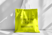 Galmiten | 243 Font Styles, a Serif Font by IM Studio (Thumbnail 10 of 12)