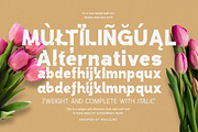 Demoise - 2 Font Styles (28 Fonts), a Sans Serif Font by Maculinc Type (Thumbnail 9 of 9)