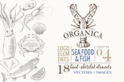 ORGANIC LOGO ELEMENTS  SEA FOOD FISH, a Food Illustration by Friendly Label (Thumbnail 1 of 6)