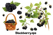 Fruits and berries collection_part 1, an Illustration by ZotovShop (Thumbnail 3 of 20)