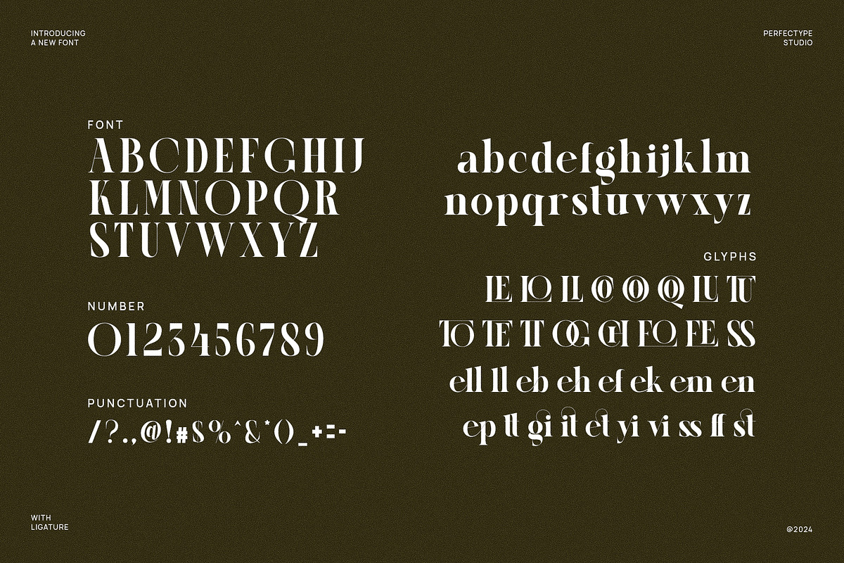 Cellgin Elegant Ligature Serif Font, a Serif Font by Perfectype (Photo 6 of 6)