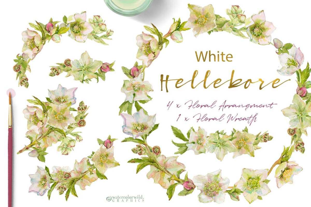 White Hellebore-Floral Clipart, an Illustration by watercolorwild.graphics (Photo 6 of 7)