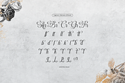 Raufendry Beauty Calligraphy Script, a Script Font by Denustudios (Thumbnail 11 of 12)