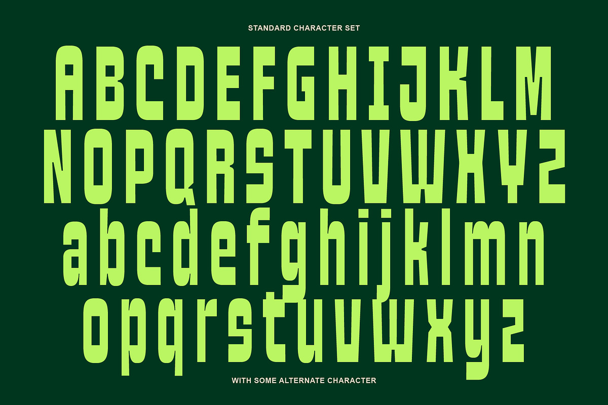 Oblq Mersive, a Sans Serif Font by Oblique Foundry (Photo 10 of 11)