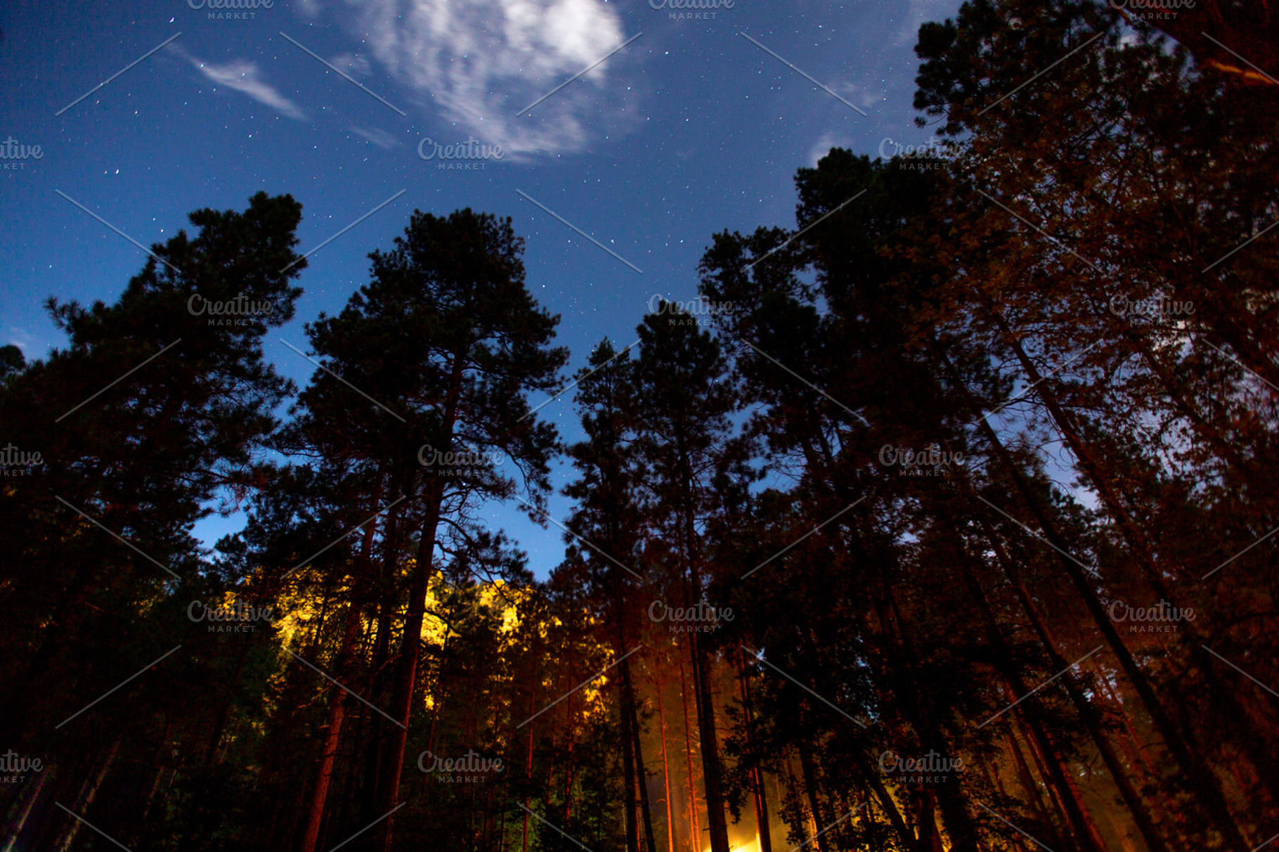 Campfire Light - Forest Starry Night, a Nature Photo by Mr Geoff