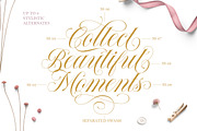 Forthsmith Classic Script, a Script Font by Letterhend Studio (Thumbnail 5 of 10)