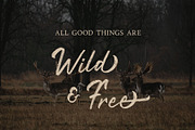 Rustyne - Rustic Script Font, a Script Font by Craft Supply Co. (Thumbnail 4 of 10)