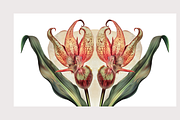 Muji Co · Symmetrical Botanics, a Decorative Illustration by milatovar (Thumbnail 13 of 16)