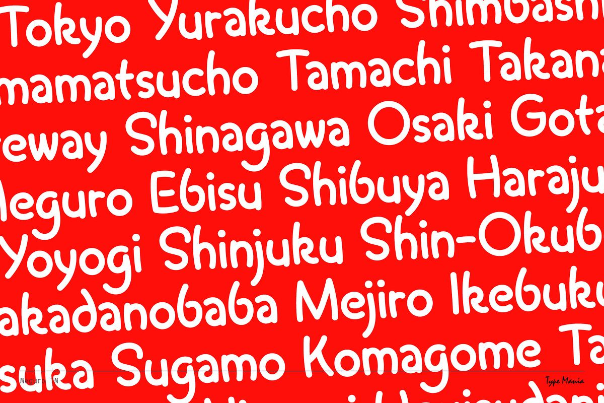 Meguro TM – Playful Sans, a Sans Serif Font by Type Mania (Photo 5 of 10)