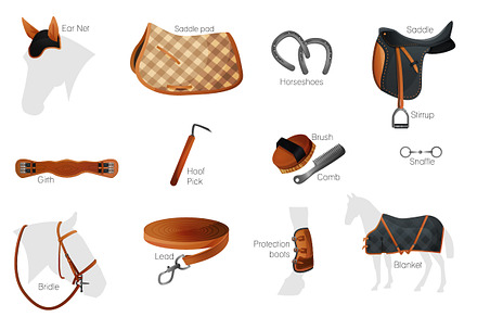 Equestrian equipment