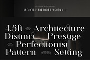 Finico Serif – High-Contrast Serif, a Serif Font by FactoryType Studio (Thumbnail 5 of 11)