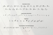 Galladise, a Script Font by kerismaker (Thumbnail 4 of 10)