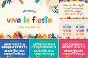The HUGE Font Bundle (98% OFF) SALE, a Sans Serif Font by Salt & Pepper Designs (Thumbnail 50 of 185)