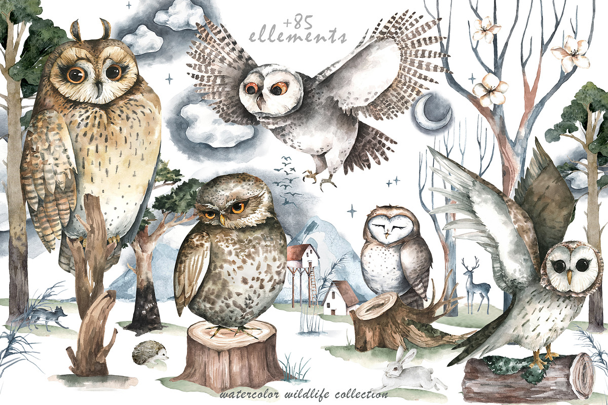 Cute forest owl. Wildlife watercolor, an Animal Illustration by Ann Art Houze (Photo 6 of 10)