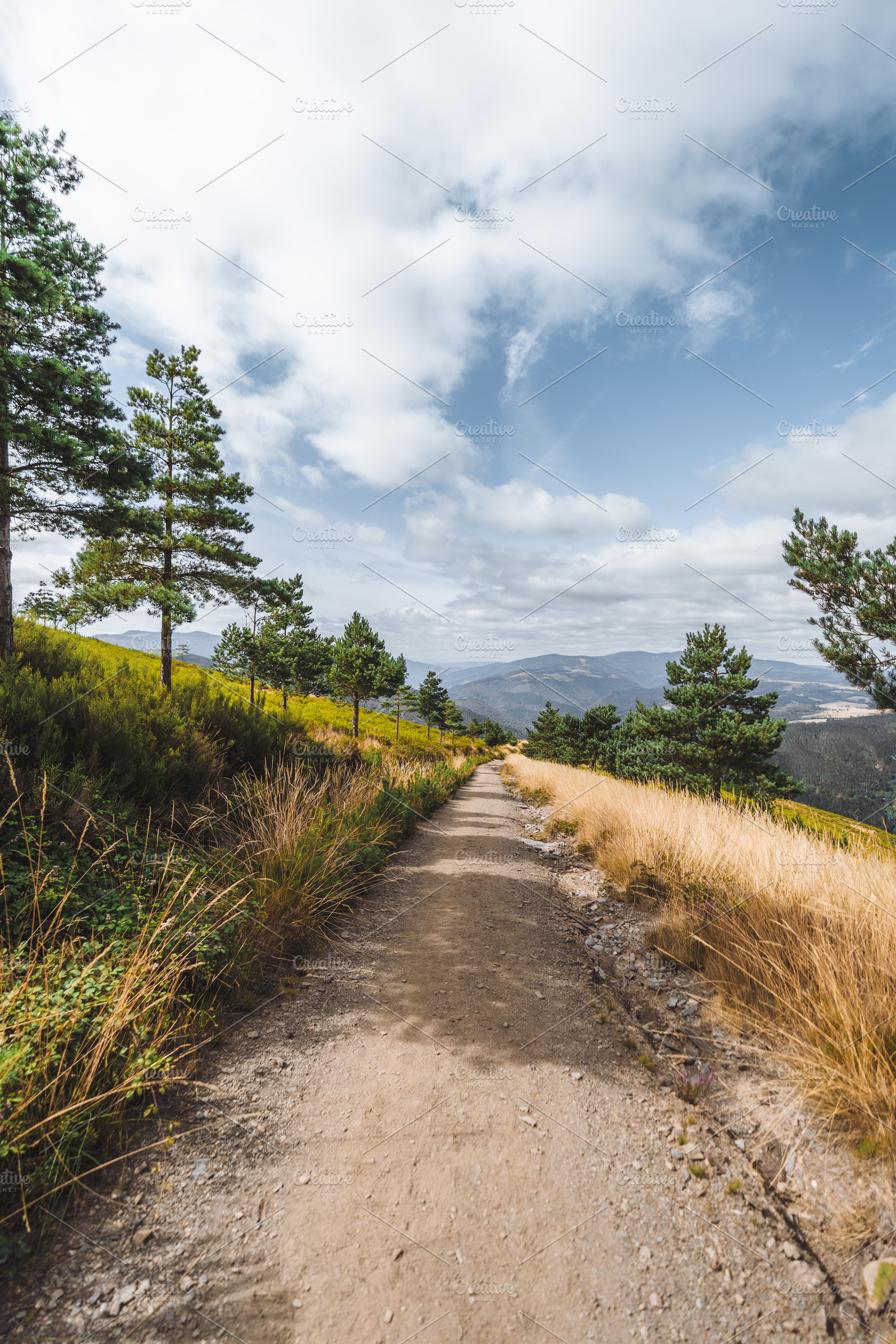 Trail through Asturian hills, a Nature Photo by SkyNext