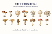 Vintage Mushroom Illustrations, a Decorative Illustration by youtoview (Thumbnail 7 of 13)