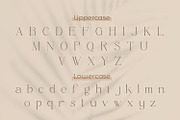 Effectas, a Serif Font by Rishsketch (Thumbnail 9 of 13)
