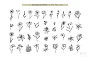 Elegant Botanicals | 100% Hand drawn, a Decorative Illustration by Olia (Thumbnail 2 of 14)