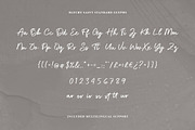 Bleury Saint Modern Script Font, a Script Font by Heinzel Std (Thumbnail 13 of 14)