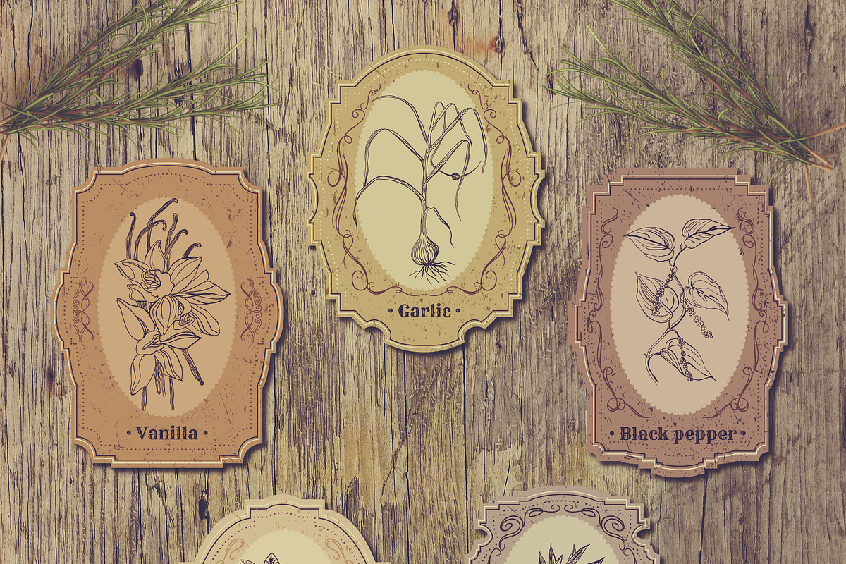 Herbs and spices. Vintage labels set, a Food Illustration by kateja (Photo 6 of 8)