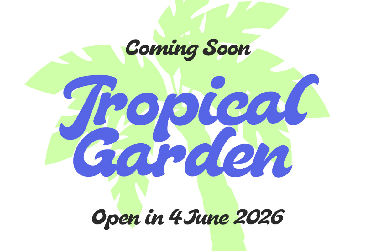 Jungle Funk – Bold Display Script, a Script Font by decographstud (Photo 5 of 9)