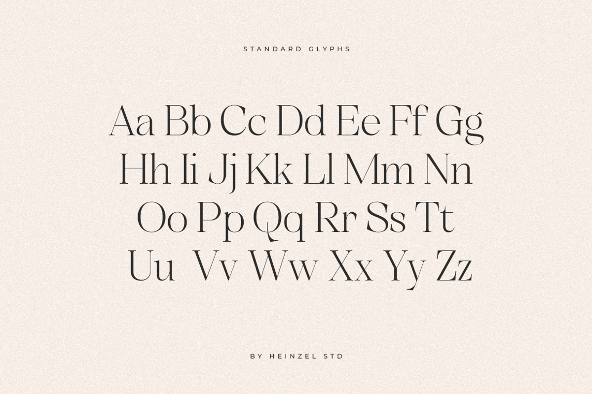 Unclare Modern Ligature Font, a Serif Font by Heinzel Std (Photo 14 of 14)
