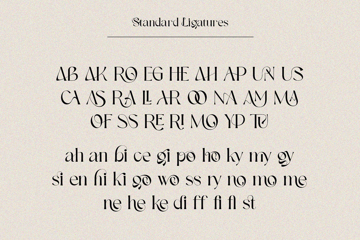 The Executive Casual, a Serif Font by Fontsgood (Photo 12 of 13)