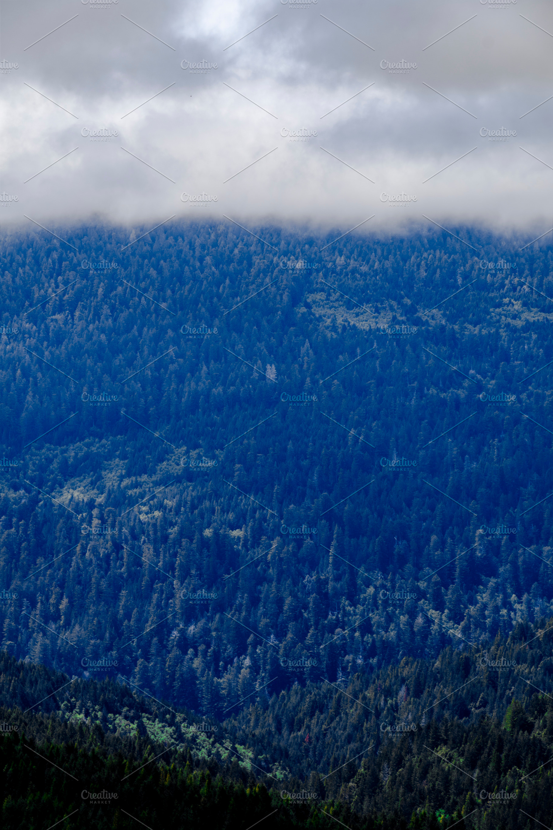 Cloud Covered Hills Near Orick, a Nature Photo by Jillian Butolph