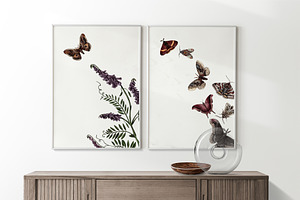 Butterflies And Flowers